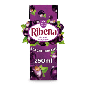 RIBENA BLACKCURRANT 24*250ML