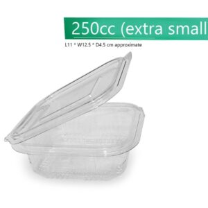 SALAD CONTAINER 250CC/480 PCS